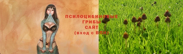 MESCALINE Заводоуковск