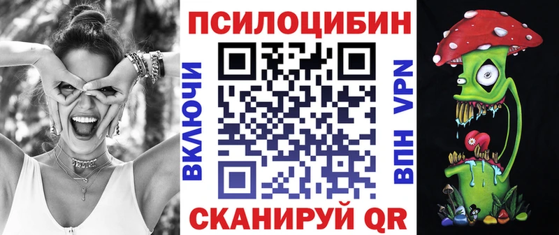 Купить где  Волгодонск  Псилоцибиновые грибы мицелий 